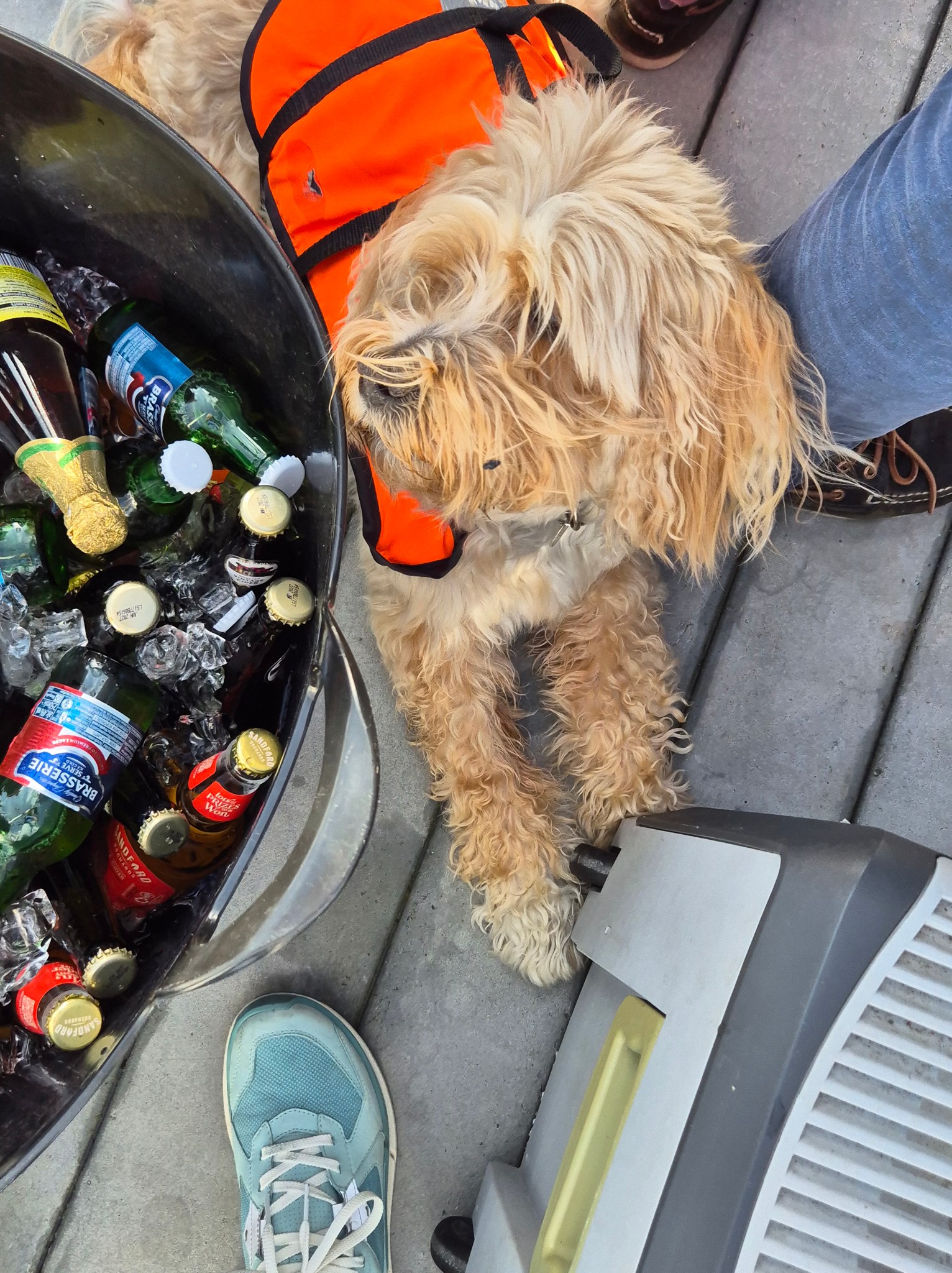 boat photo